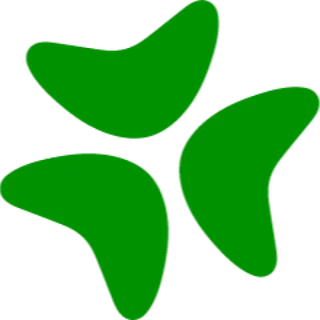 Bloomerang logo